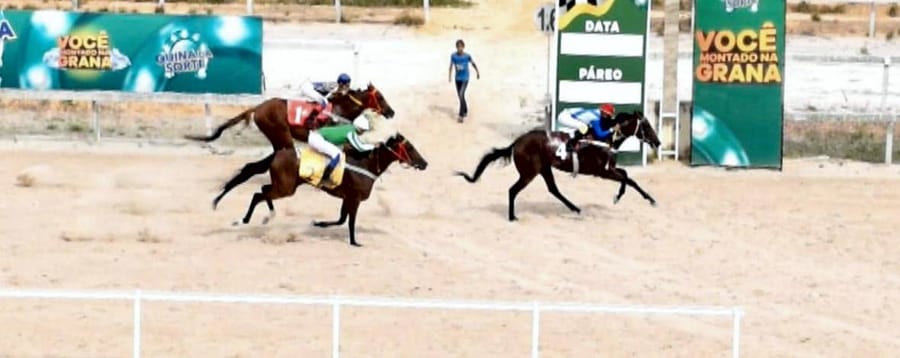Três cavalos disputam a chegada na pista de areia do Hipódromo do Aquiraz