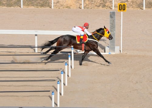 Chegada de páreo no Hipódromo do Aquiraz