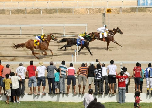 Cavalos Quarto de Milha cruzam a chegada na cancha reta, com público na grade