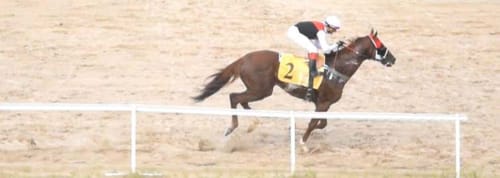 Cavalo cruza o disco em close lateral na pista de areia do Aquiraz