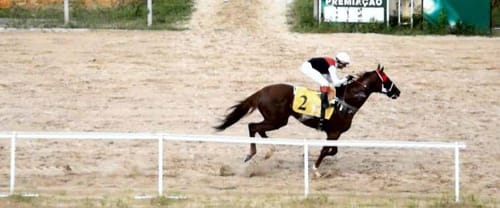 Cavalo isolado na reta final do Aquiraz, cerca branca em primeiro plano