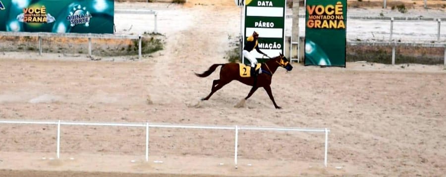 Chegada de páreo no Hipódromo do Aquiraz