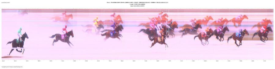 Photochart oficial da Quina da Sorte com 15 cavalos no disco