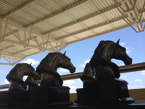 Troféus em forma de cabeça de cavalo sob a cobertura da tribuna do Aquiraz