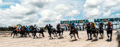 Pelotão de 15 cavalos logo após a largada da Quina da Sorte